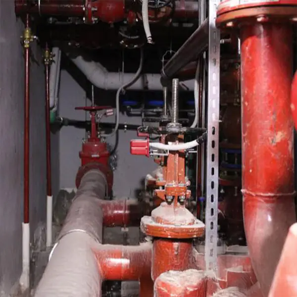 Firefighting valve and riser installation