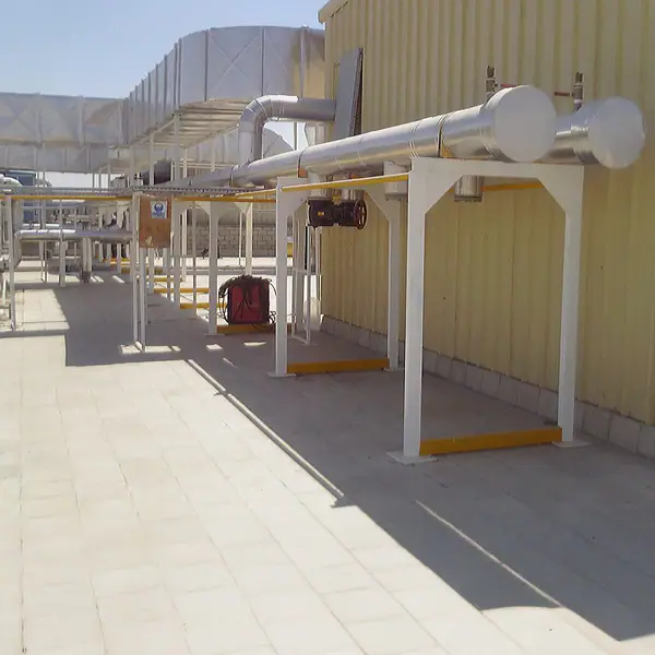 Procter & Gamble – October Plant — photo 2